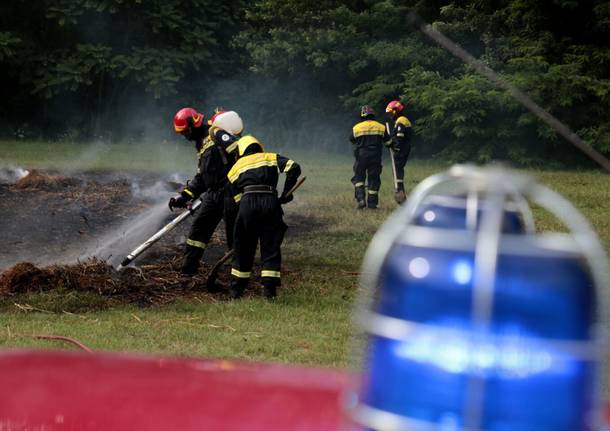 Volontari del Parco delle Groane in azione