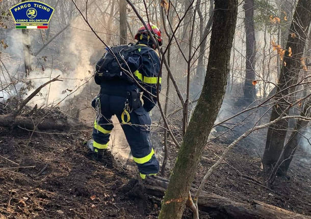 volontari parco ticino incendio lentate