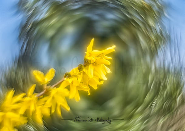 La primavera stà arrivando...