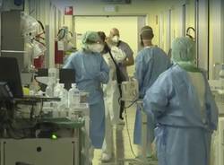 Coronavirus 17 marzo