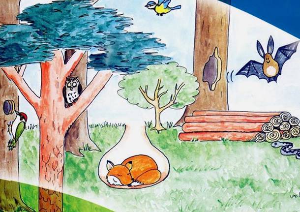 Racconti Giochi E Lavoretti Il Parco Pineta Diventa Virtuale Per Tutti I Bambini