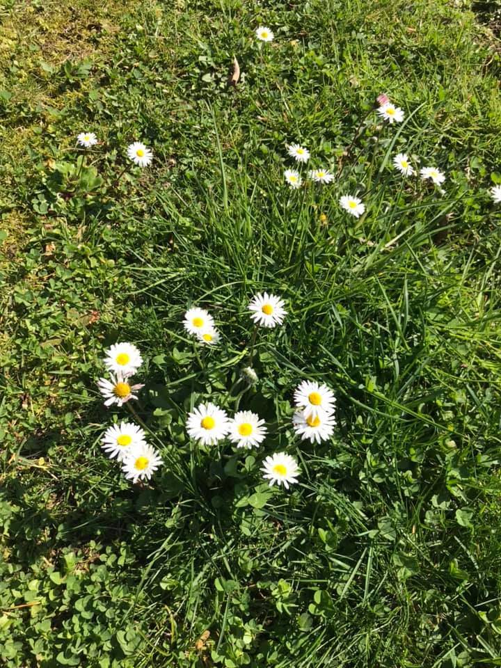Il risveglio della primavera - Contest Parco Lura