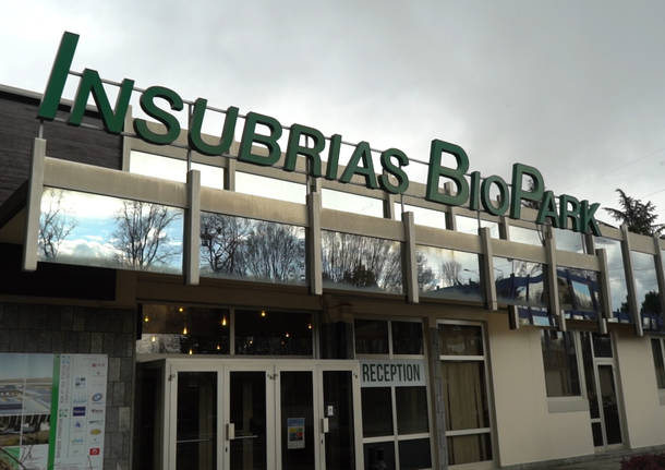 Insubrias Biopark