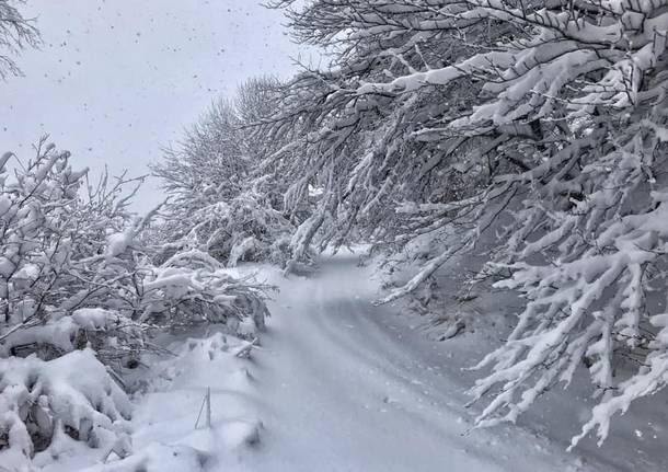 La neve del 2 marzo