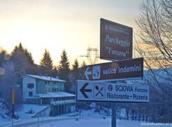 neve forcora