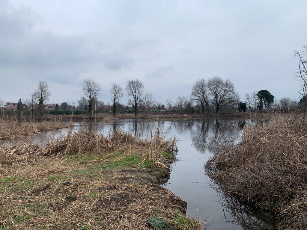 Olona Greenway 