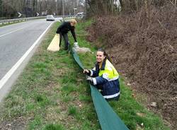 Parco delle Groane: posizionata la rete “salva rospi” nei pressi del laghetto Mirabello