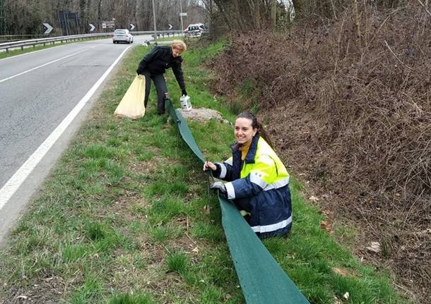 Parco delle Groane: posizionata la rete “salva rospi” nei pressi del laghetto Mirabello