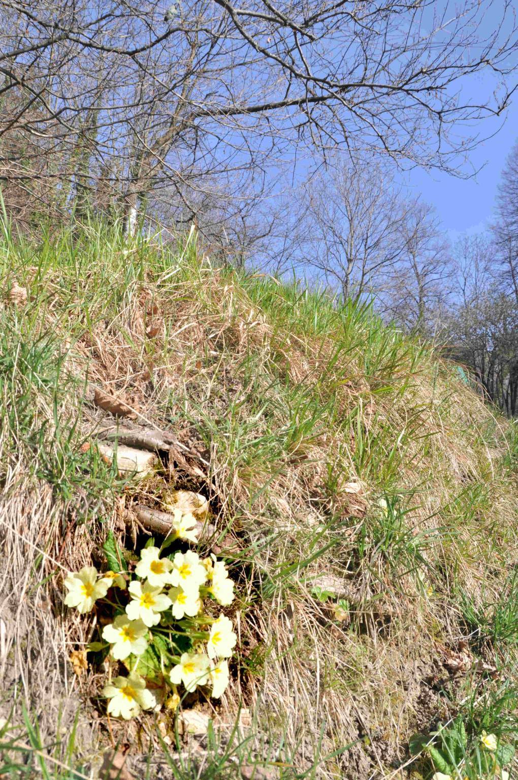 Sacro Monte
