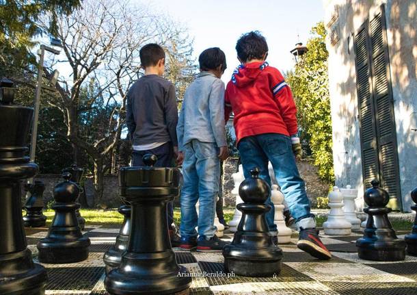 Scacco matto…alla noia