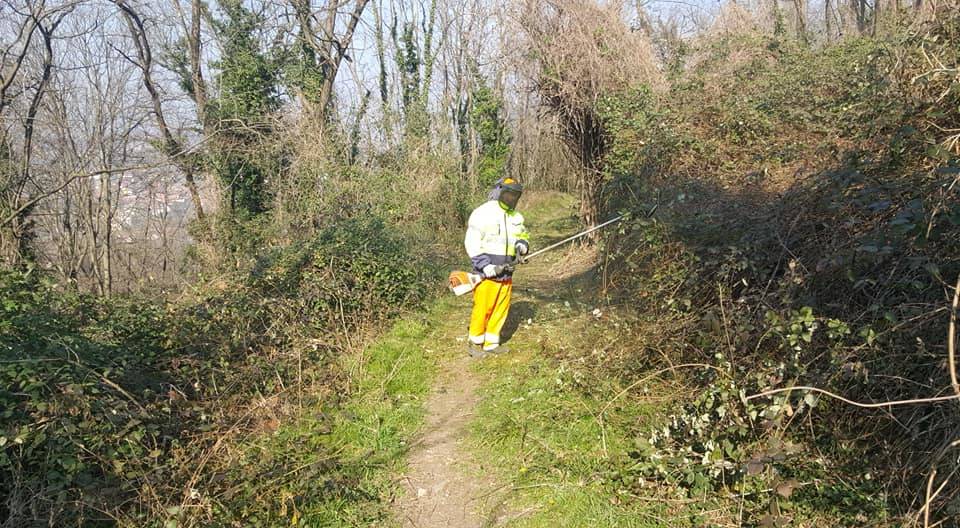Sentieri di 14 Km a Besozzo 