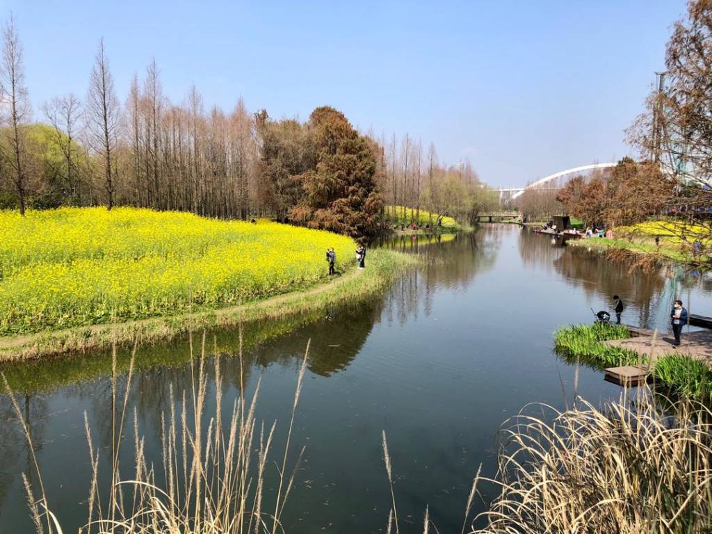 Shangai marzo 2020