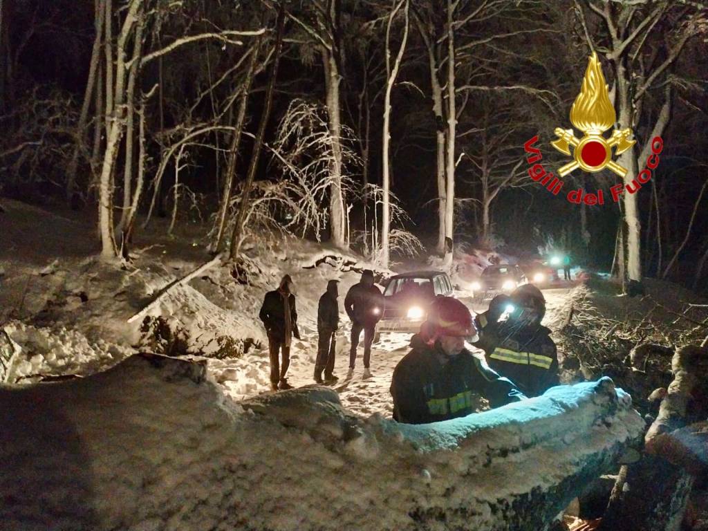 Taglio pianta nel comune di Varese