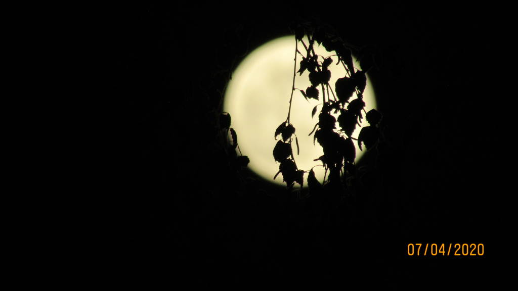 La \"SuperLuna\" vista dai nostri lettori