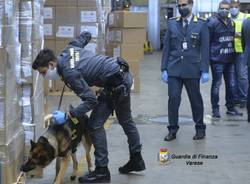 droga malpensa guardia di finanza