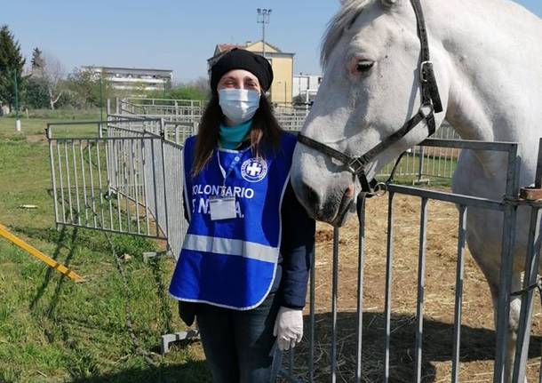 Anche Enpa Saronno in supporto alla Croce Rossa per aiutare il Circo bloccato a Saronno