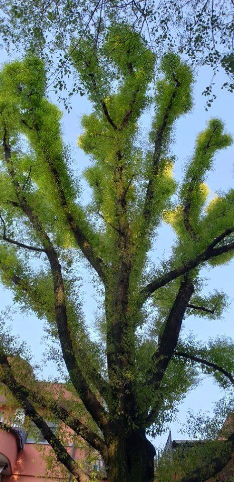 Forme della Natura Parco Lura
