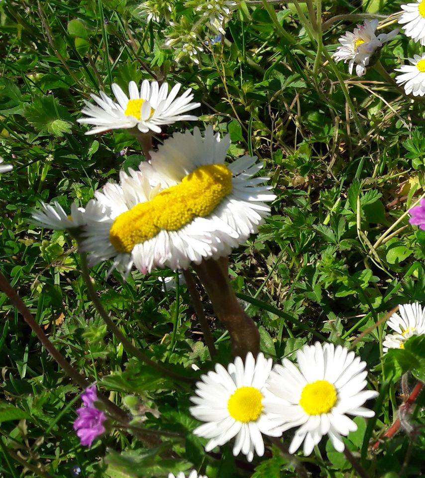 Forme della Natura Parco Lura