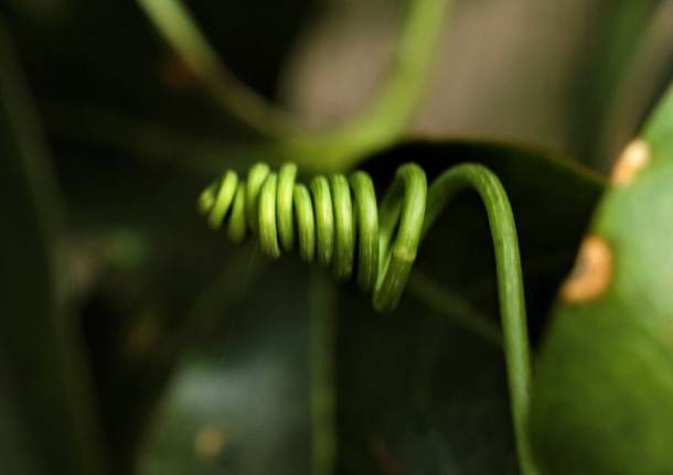 Forme della Natura Parco Lura