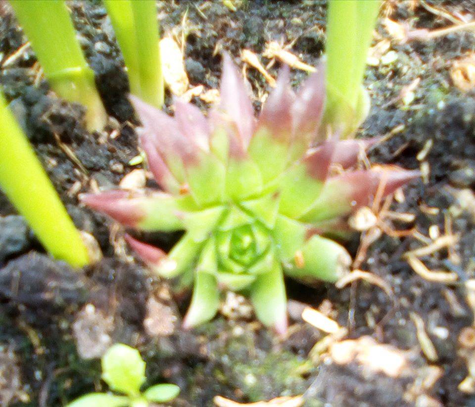 Forme della Natura Parco Lura