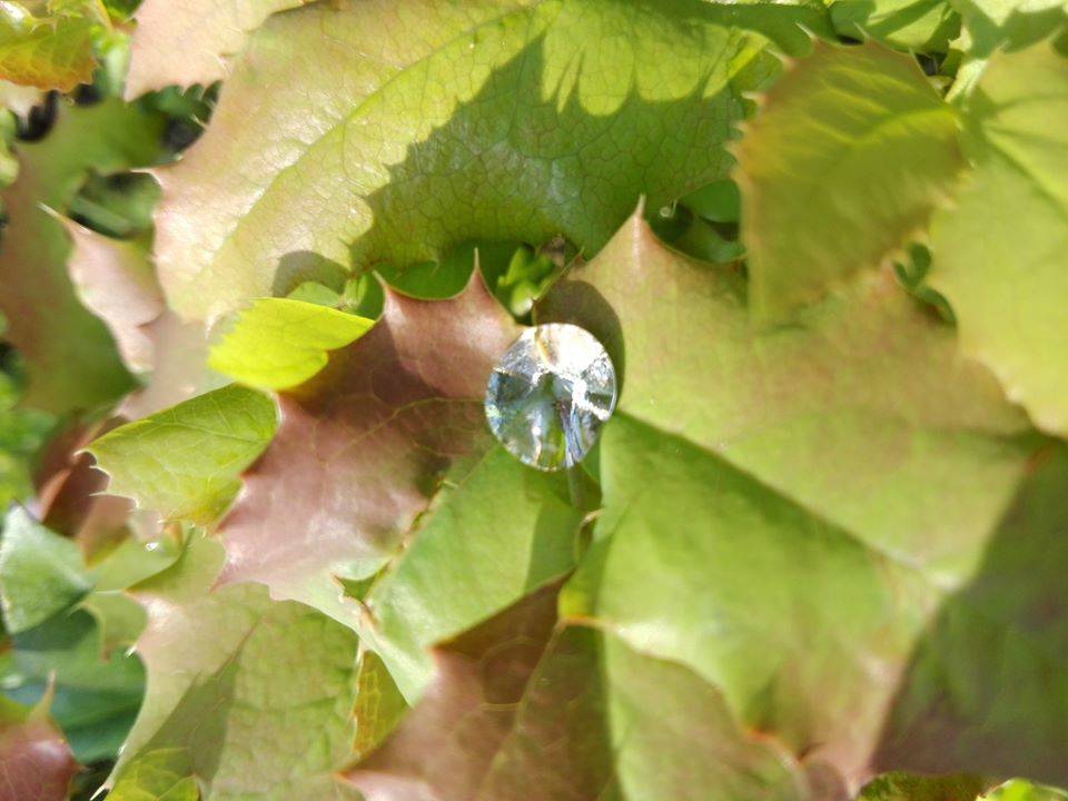 Forme della Natura Parco Lura