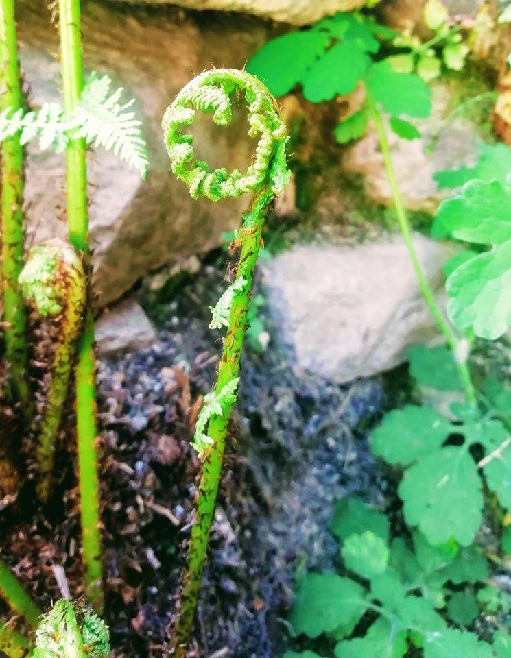 Forme della Natura Parco Lura