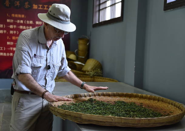 Alla ricerca delle origini di tè e caffè. Si parte dalla Cina