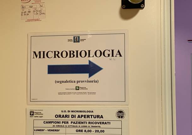 laboratorio microbiologia