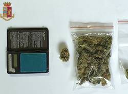 marijuana