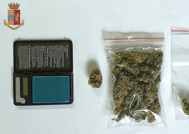 marijuana