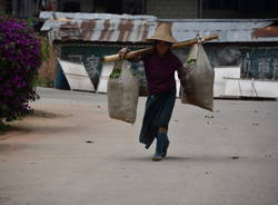 Nel profumo di caffè dello Yunnan