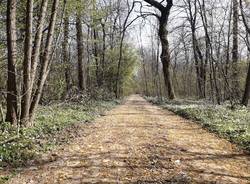 Parco dei Mughetti 