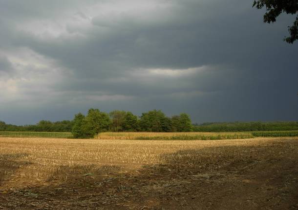 Parco delle Piane