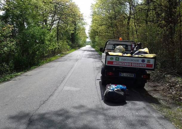 Pulizie al Parco delle Groane