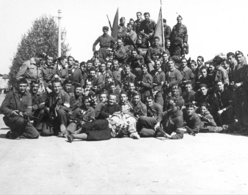 Saronno generica genererico