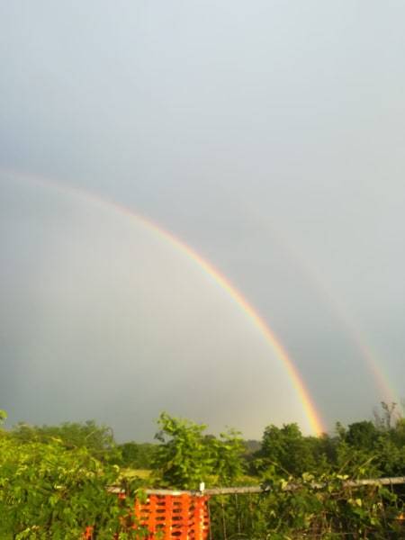 2 maggio 2020: l'arcobaleno dei lettori