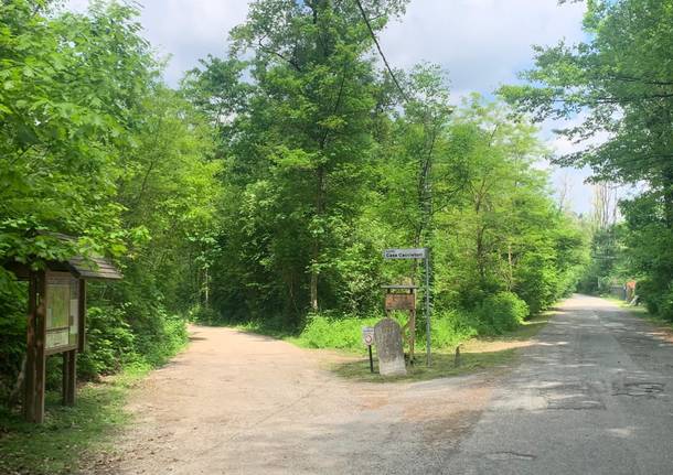 caduta da bici arsago seprio