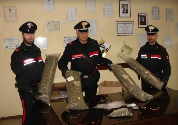 Il sequestro di marijuana a Luino