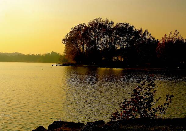 Lago dorato