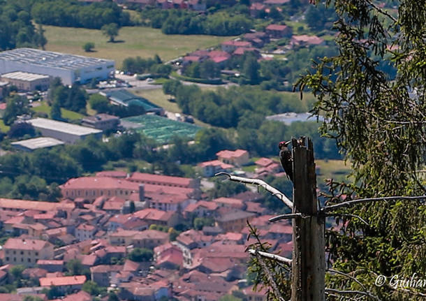 Panorama sui nostri laghi dal Forte di Orino Varese Campo dei Fiori