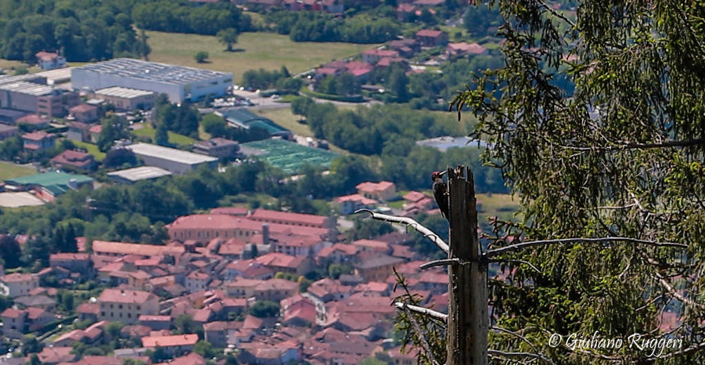 Panorama sui nostri laghi dal Forte di Orino Varese Campo dei Fiori