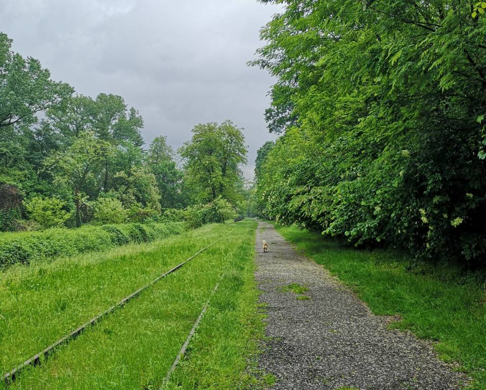 Ciclabile valle Olona riapre con il maltempo 