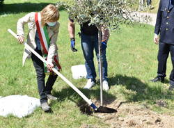 commemorazione defunti cimitero castellanza