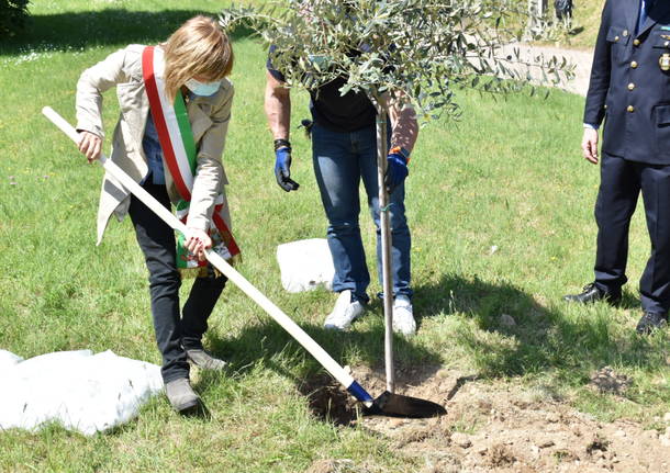 commemorazione defunti cimitero castellanza