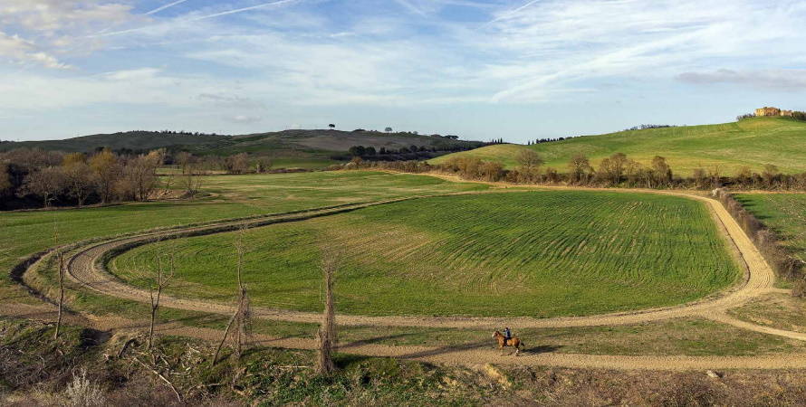 Fantini palio