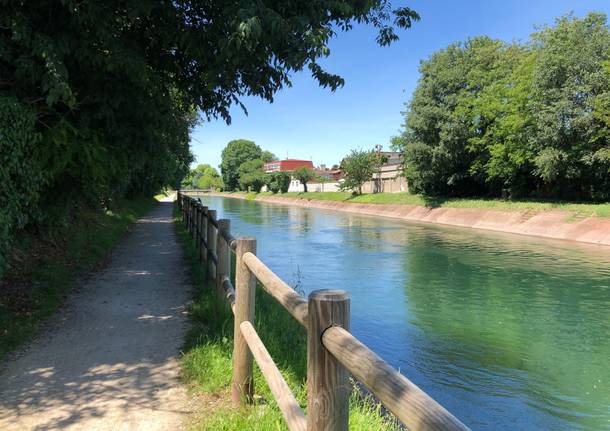 Tra campi e mulini: la nona tappa di “Va in Giro” da Tornavento a Legnano