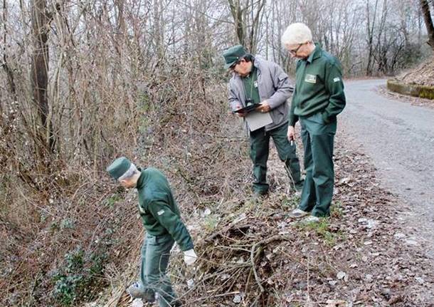 guardie ecologiche volontarie