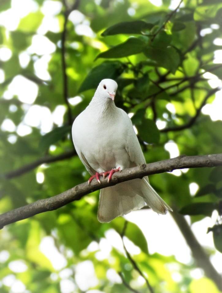 La bellezza della natura