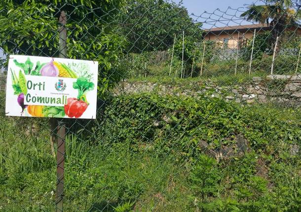 Orti urbani in Via Pergolesi a Besozzo 