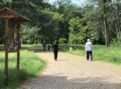 parco alto milanese